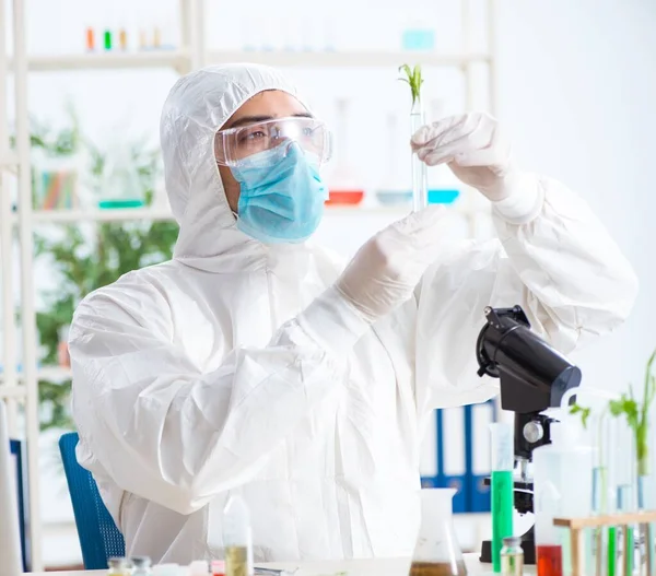 Bioquímico masculino trabalhando no laboratório em plantas — Fotografia de Stock