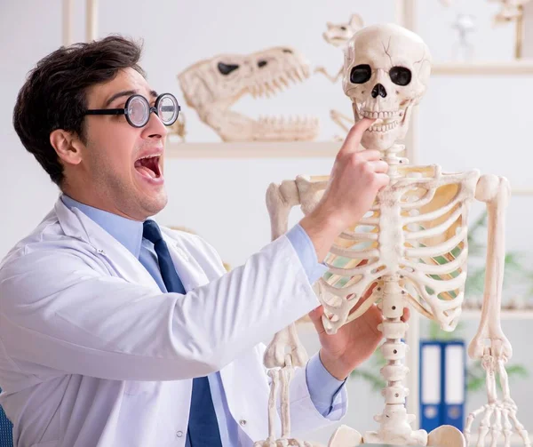 Galne professor som studerar mänskligt skelett — Stockfoto
