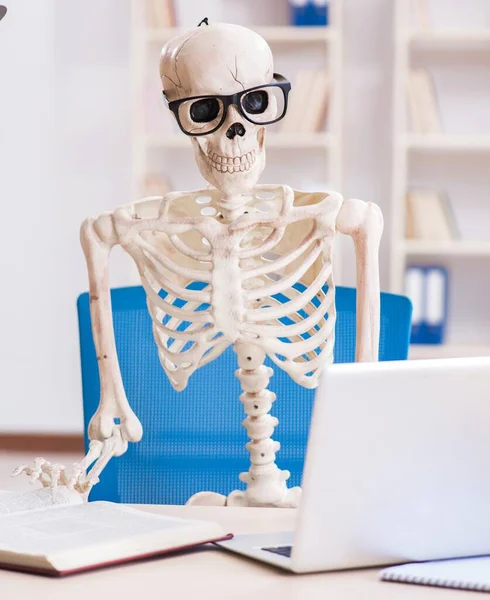 Скелетонист, работающий в офисе — стоковое фото
