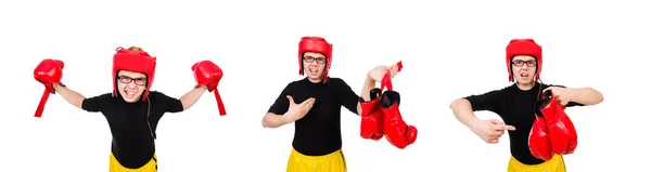 Funny boxer isolated on the white background — Stock Photo, Image