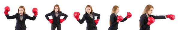 Woman businesswoman with boxing gloves on white — Stock Photo, Image