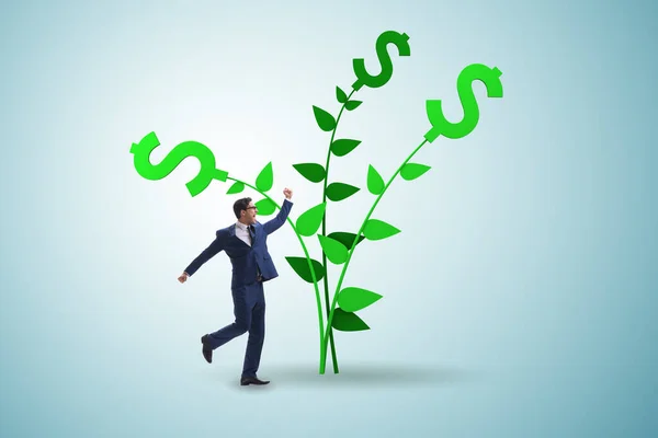 Geldbaum-Konzept mit Geschäftsmann in wachsenden Gewinnen — Stockfoto