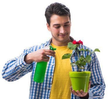 Çiçek saksısı olan genç adam beyaz tencereye izole edilmiş.