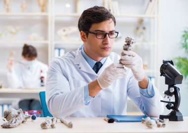 Profesör laboratuvarda insan iskeletini inceliyor.