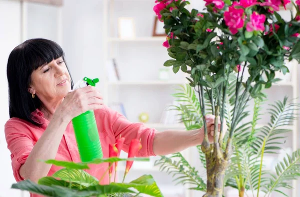 Mujer florista trabajando en la florería — Foto de Stock