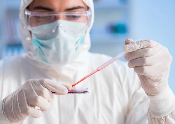 Лаборант з тестування зразків крові в лікарні — стокове фото