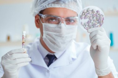 Laboratuvarda parfüm karıştıran bir kimyager.