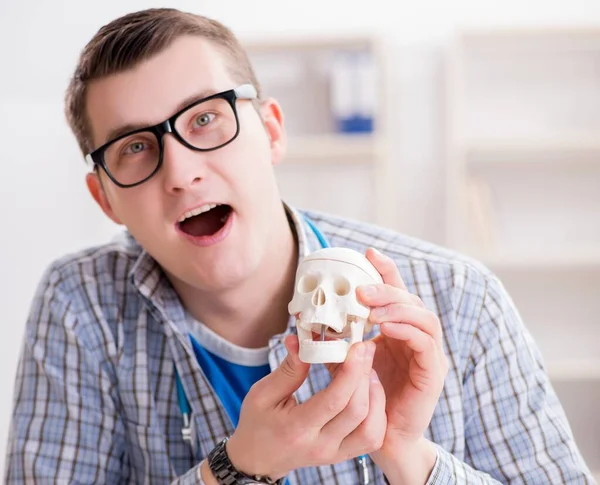 Medizinstudent untersucht Skelett im Hörsaal während Vorlesung — Stockfoto