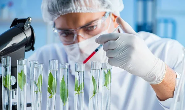 Concepto de biotecnología con científico en laboratorio —  Fotos de Stock