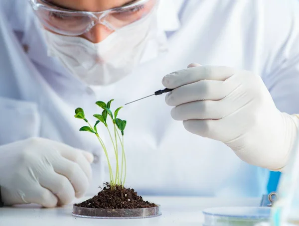 Bioteknikkoncept med forskare i labb — Stockfoto