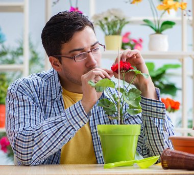 Çiçekçide çalışan genç bir adam.