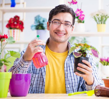 Bahçıvan çiçekçide çalışıyor. Çiçekçide çalışıyor.