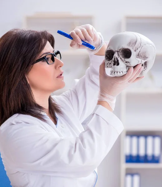 Medico che lavora in laboratorio sullo scheletro — Foto Stock