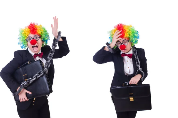 Biznesmen clown izolowany na białym — Zdjęcie stockowe
