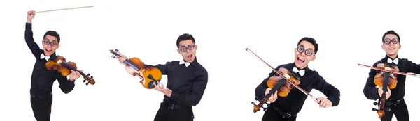 Joueur de violon drôle sur blanc — Photo