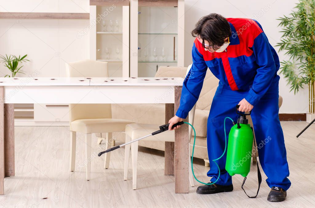 Young contractor doing pest control at home