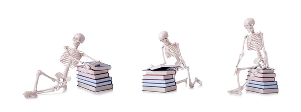 Esqueleto leitura de livros sobre branco — Fotografia de Stock