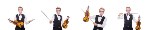 Funny violin player on white — Stock Photo, Image