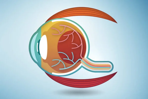 Eye illustration in medical concept - 3d rendering — Stock fotografie