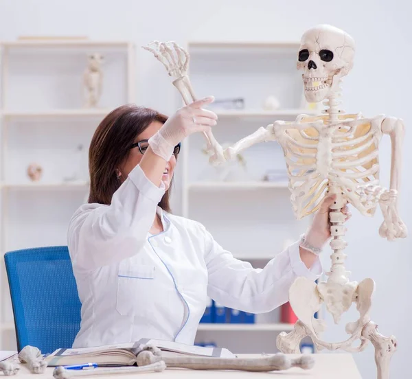 Doutor trabalhando no laboratório em esqueleto — Fotografia de Stock