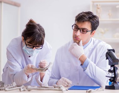 Profesör laboratuvarda insan iskeletini inceliyor.