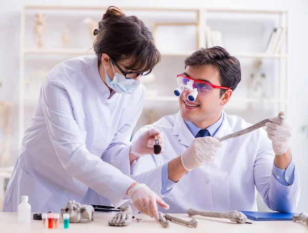 Professor estudando esqueleto humano em laboratório — Fotografia de Stock