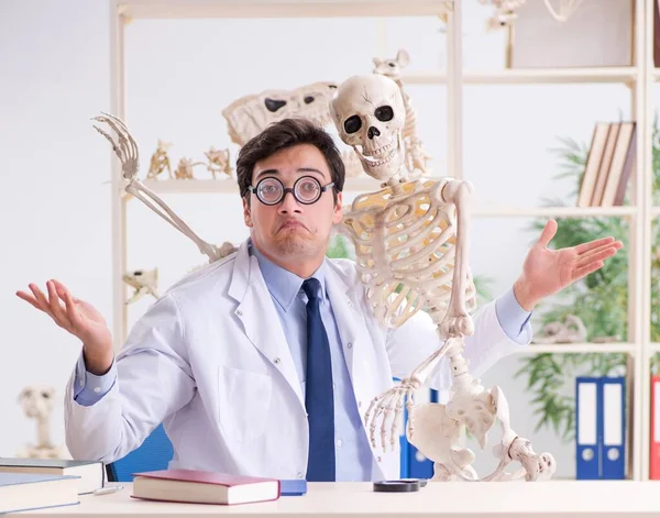 Çılgın profesör insan iskeleti üzerinde çalışıyor. — Stok fotoğraf