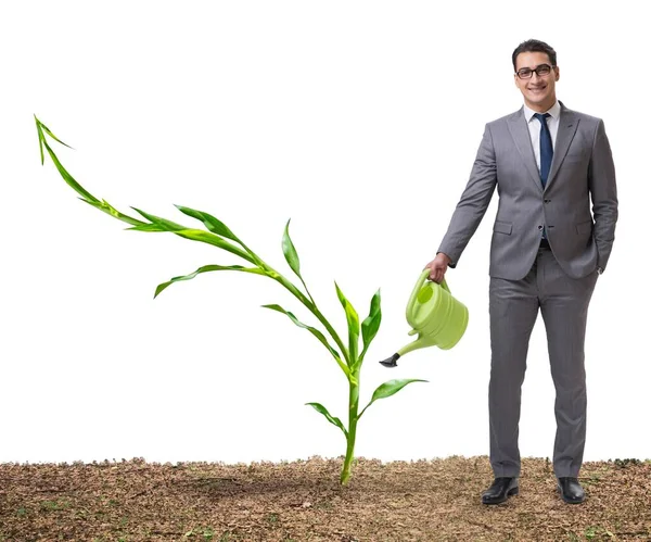 Geschäftsmann in neuem Geschäftskonzept — Stockfoto