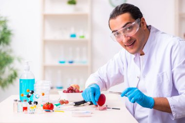 Genç erkek beslenme uzmanı gıda ürünlerini laboratuarda test ediyor.