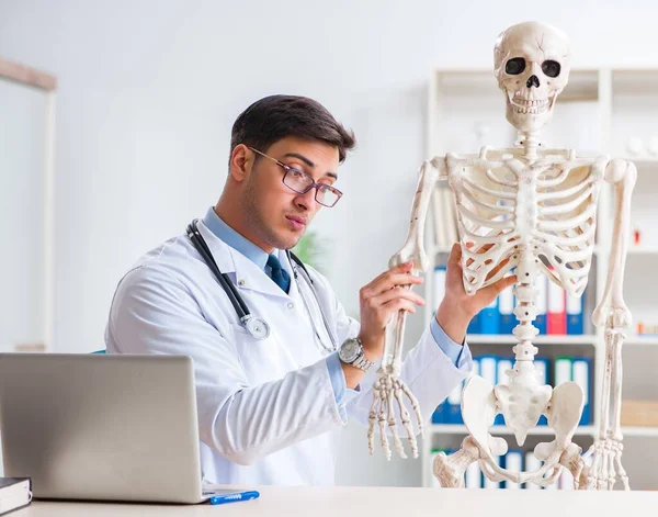 Yong male doctor with skeleton isolated on white — Stock Photo, Image