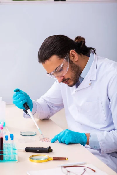 Jonge mannelijke chemicus werkzaam in het lab — Stockfoto