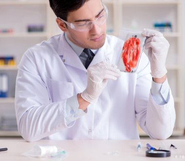 Kanıt için laboratuvarda çalışan uzman bir kriminolog.