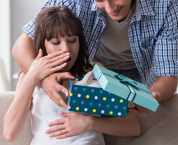 Young woman getting pet rabbit as birthday present — Stock Photo, Image