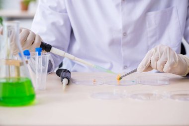 Laboratuvarda çalışan genç bir kimyager.