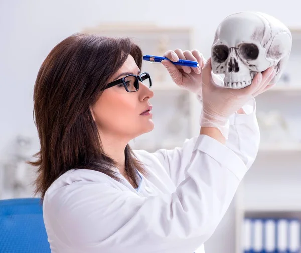 Medico che lavora in laboratorio sullo scheletro — Foto Stock