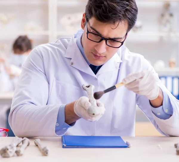 Profesor estudiando esqueleto humano en laboratorio — Foto de Stock