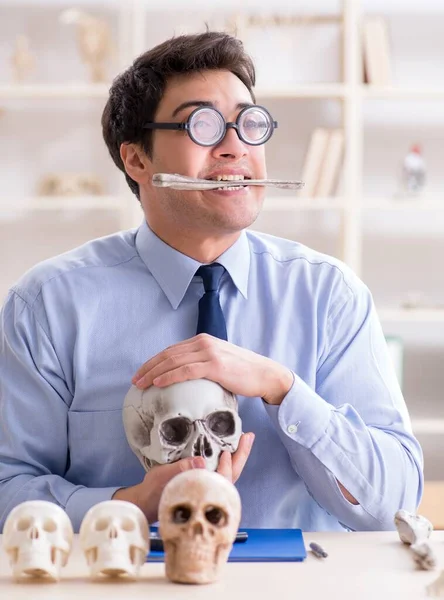 面白いクレイジー教授人間の骨格を勉強 — ストック写真