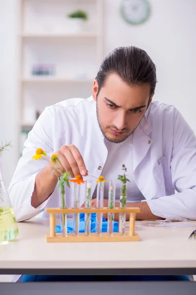 Giovane chimico di sesso maschile che lavora in laboratorio — Foto Stock