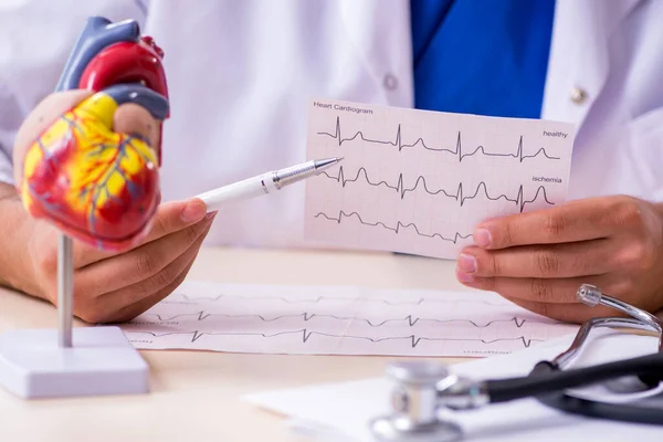 Joven médico cardiólogo que trabaja en la clínica — Foto de Stock