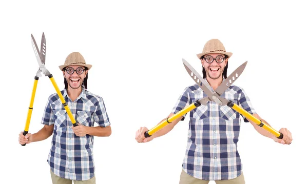 Divertente ragazzo con cesoie da giardino su bianco — Foto Stock