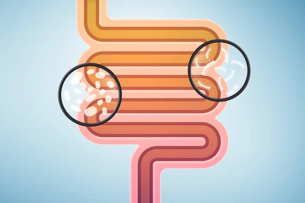 Ilustración esquemática de los intestinos humanos con microbios —  Fotos de Stock