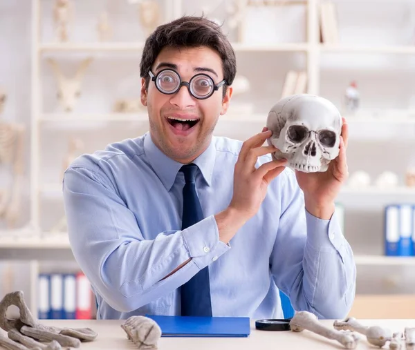 Lustig galen professor studerar mänskliga skelett — Stockfoto