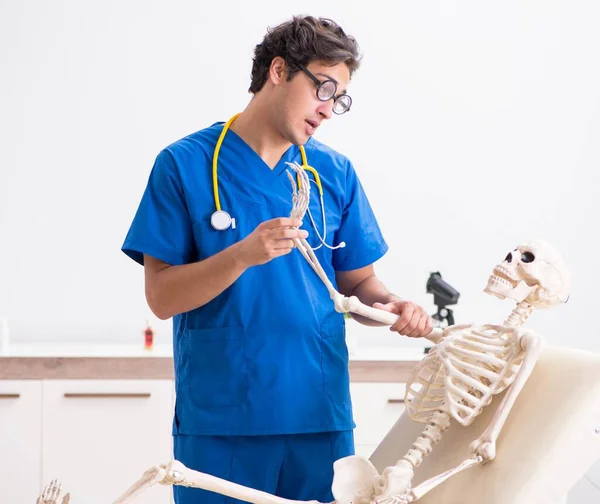 Rolig läkare med skelett på sjukhus — Stockfoto