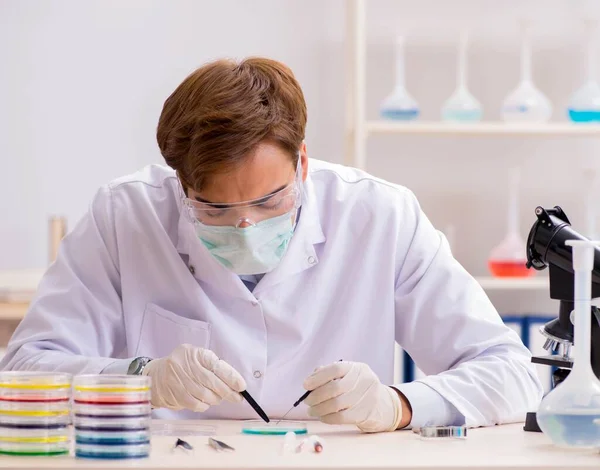 Jovem químico trabalhando no laboratório — Fotografia de Stock