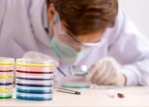 Joven químico trabajando en el laboratorio — Foto de Stock