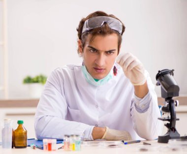 Erkek böcekbilimci laboratuvarda yeni türler üzerinde çalışıyor.