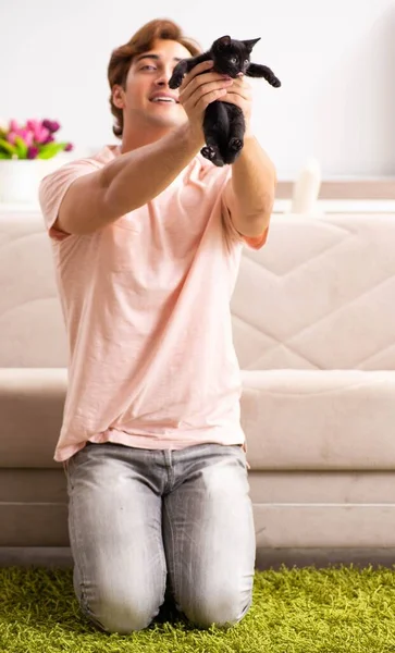 Joven jugando con gatito en casa —  Fotos de Stock