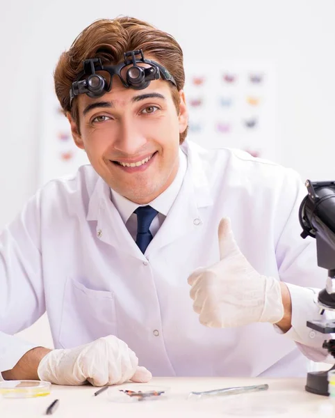 Scientist entomologist studying new butterfly species — Stock Photo, Image