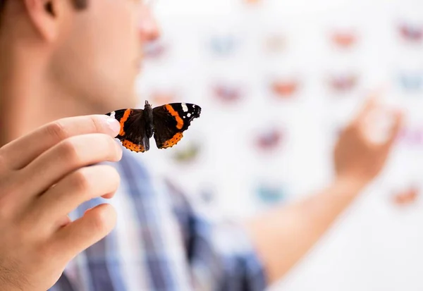 Student entomolog studující nové druhy motýlů — Stock fotografie