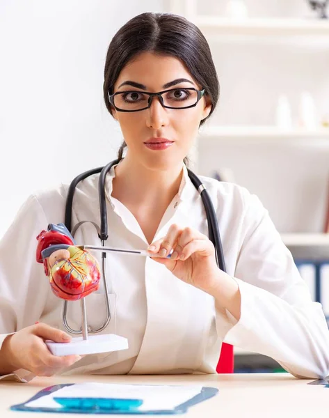 Kvinna läkare visar hjärtat modell för studenter — Stockfoto